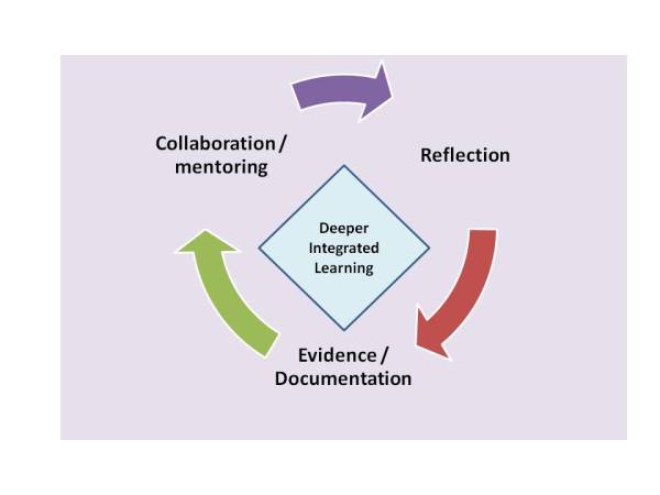 Learning Portfolio Cycle