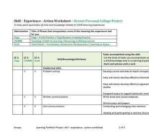 image of my skill-experience-action worksheet